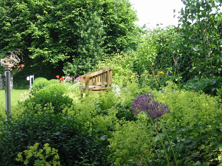 Hortus Tuinontwerp – Een tuin op maat van iedereen